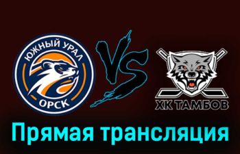 Южный Урал — ХК Тамбов 4 декабря 2023 года прямая трансляция