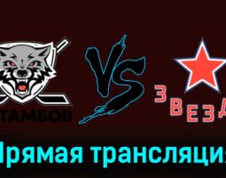 ХК Тамбов — Звезда 17 января 2024 года прямая трансляция