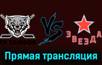 ХК Тамбов — Звезда 17 января 2024 года прямая трансляция