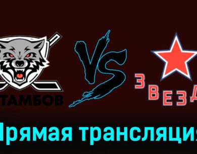 ХК Тамбов — Звезда 17 января 2024 года прямая трансляция