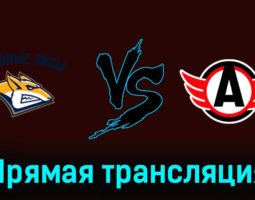 Стальные Лисы — Авто 17 января 2024 года прямая трансляция