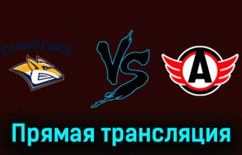 Стальные Лисы — Авто 17 января 2024 года прямая трансляция