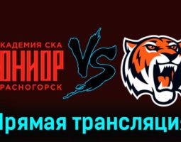 Академия СКА-Юниор — Амурские Тигры 6 января 2024 года прямая трансляция