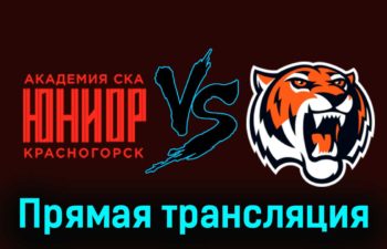 Академия СКА-Юниор — Амурские Тигры 6 января 2024 года прямая трансляция