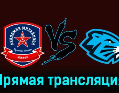 АКМ-Юниор — Динамо-Шинник 8 января 2024 года прямая трансляция