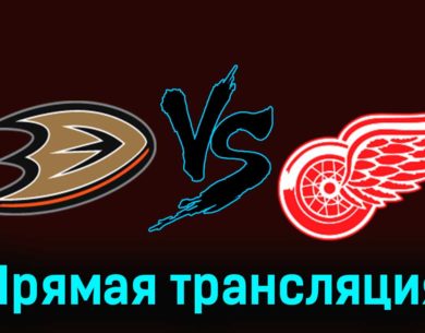 Анахайм Дакс — Детройт Ред Уингз 8 января 2024 года прямая трансляция