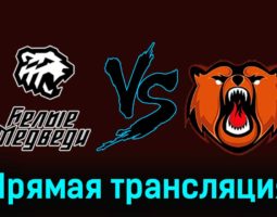 Белые Медведи — Кузнецкие Медведи 8 января 2024 года прямая трансляция