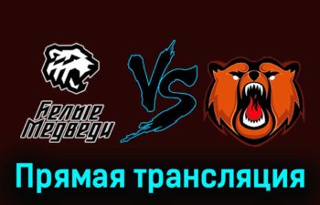 Белые Медведи — Кузнецкие Медведи 8 января 2024 года прямая трансляция