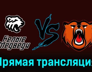 Белые Медведи — Кузнецкие Медведи 8 января 2024 года прямая трансляция