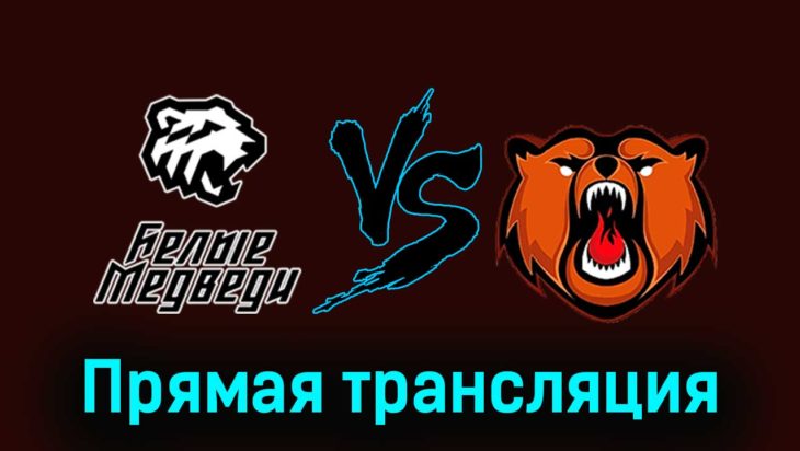 Белые Медведи — Кузнецкие Медведи 8 января 2024 года прямая трансляция Белые Медведи — Кузнецкие Медведи 8 января 2024 года прямая трансляция