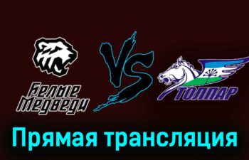 Белые Медведи — Толпар 18 января 2024 года прямая трансляция
