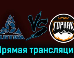 Динамо-Алтай — Горняк-УГМК 18 января 2024 года прямая трансляция