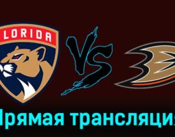 Флорида Пантерз — Анахайм Дакс 15 января 2024 года прямая трансляция