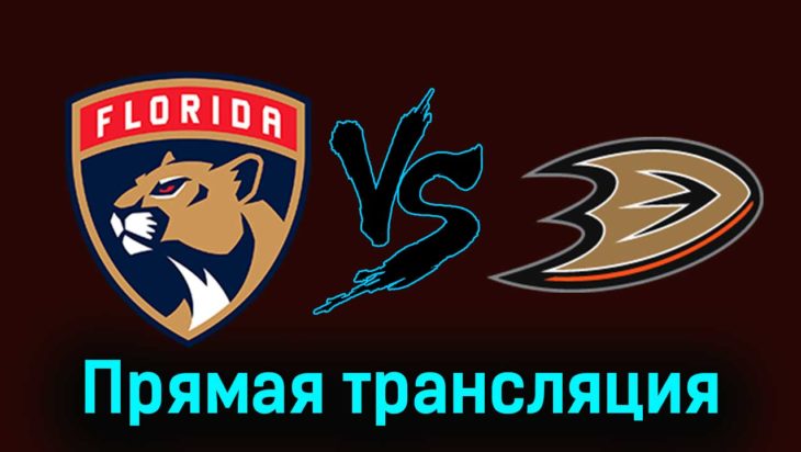Флорида Пантерз — Анахайм Дакс 15 января 2024 года прямая трансляция Флорида Пантерз — Анахайм Дакс 15 января 2024 года прямая трансляция