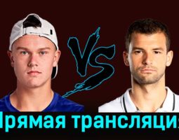 Хольгер Руне — Григор Димитров 7 января 2024 года прямая трансляция