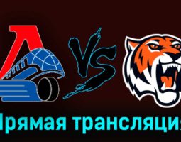 Локо — Амурские Тигры 8 января 2024 года прямая трансляция