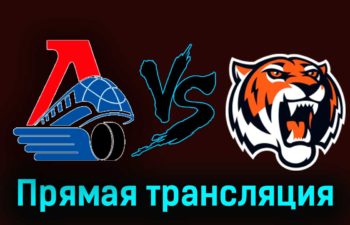 Локо — Амурские Тигры 8 января 2024 года прямая трансляция