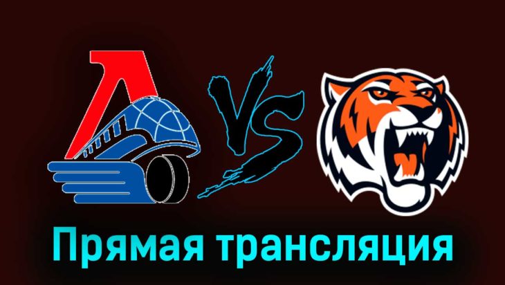 Локо — Амурские Тигры 8 января 2024 года прямая трансляция
