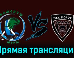 Мамонты Югры — МХК Молот 6 января 2024 года прямая трансляция