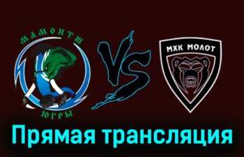 Мамонты Югры — МХК Молот 6 января 2024 года прямая трансляция