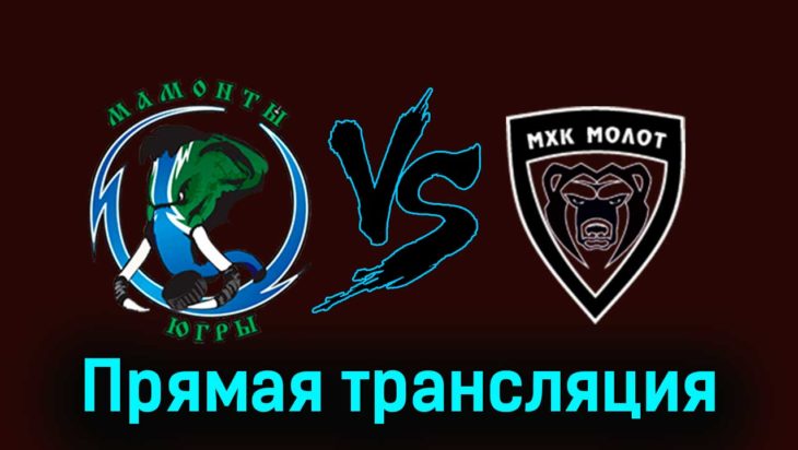 Мамонты Югры — МХК Молот 6 января 2024 года прямая трансляция Мамонты Югры — МХК Молот 6 января 2024 года прямая трансляция
