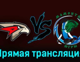 Омские Ястребы — Мамонты Югры 18 января 2024 года прямая трансляция