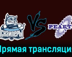 Сибирские Снайперы — Реактор 7 января 2024 года прямая трансляция