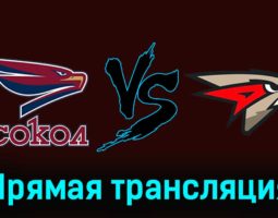 Сокол — Омские Крылья 18 января 2024 года прямая трансляция