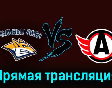 Стальные Лисы — Авто 18 января 2024 года прямая трансляция
