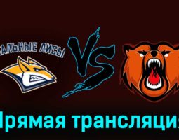 Стальные Лисы — Кузнецкие Медведи 6 января 2024 года прямая трансляция