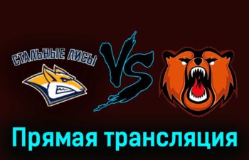 Стальные Лисы — Кузнецкие Медведи 6 января 2024 года прямая трансляция