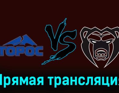 Торос — Молот 6 января 2024 года прямая трансляция
