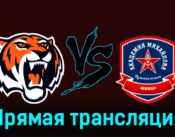 Амурские Тигры — АКМ-Юниор 15 февраля 2024 года прямая трансляция