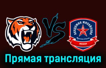Амурские Тигры — АКМ-Юниор 15 февраля 2024 года прямая трансляция