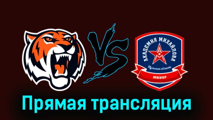 Амурские Тигры — АКМ-Юниор 15 февраля 2024 года прямая трансляция Амурские Тигры — АКМ-Юниор 15 февраля 2024 года прямая трансляция
