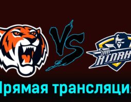 Амурские Тигры — МХК Атлант 19 февраля 2024 года прямая трансляция