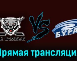 ХК Тамбов — Буран 16 февраля 2024 года прямая трансляция