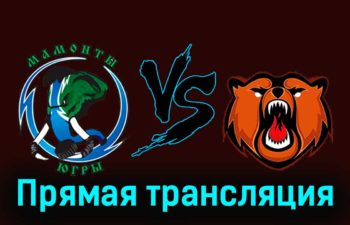 Мамонты Югры — Кузнецкие Медведи 15 февраля 2024 года прямая трансляция