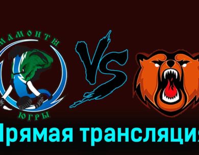 Мамонты Югры — Кузнецкие Медведи 15 февраля 2024 года прямая трансляция