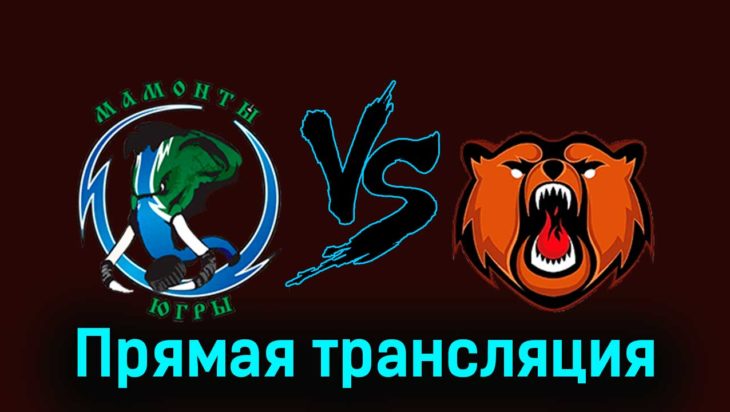 Мамонты Югры — Кузнецкие Медведи 15 февраля 2024 года прямая трансляция Мамонты Югры — Кузнецкие Медведи 15 февраля 2024 года прямая трансляция