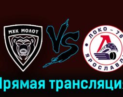 МХК Молот — Локо-76 19 февраля 2024 года прямая трансляция