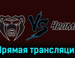 Молот — Челмет 16 февраля 2024 года прямая трансляция