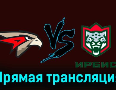 Омские Ястребы — Ирбис 19 февраля 2024 года прямая трансляция