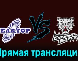 Реактор — Снежные Барсы 19 февраля 2024 года прямая трансляция