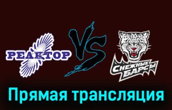 Реактор — Снежные Барсы 19 февраля 2024 года прямая трансляция