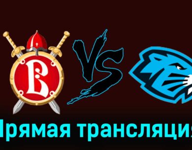 Русские Витязи — Динамо-Шинник 15 февраля 2024 года прямая трансляция