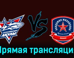 Сахалинские Акулы — АКМ-Юниор 19 февраля 2024 года прямая трансляция