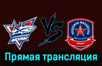 Сахалинские Акулы — АКМ-Юниор 19 февраля 2024 года прямая трансляция