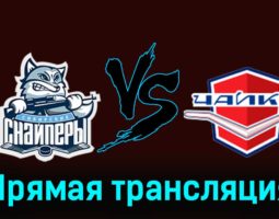 Сибирские Снайперы — Чайка 19 февраля 2024 года прямая трансляция