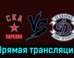 СКА-Карелия — МХК Динамо СПб 16 февраля 2024 года прямая трансляция